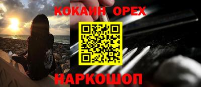 сатива Краснознаменск