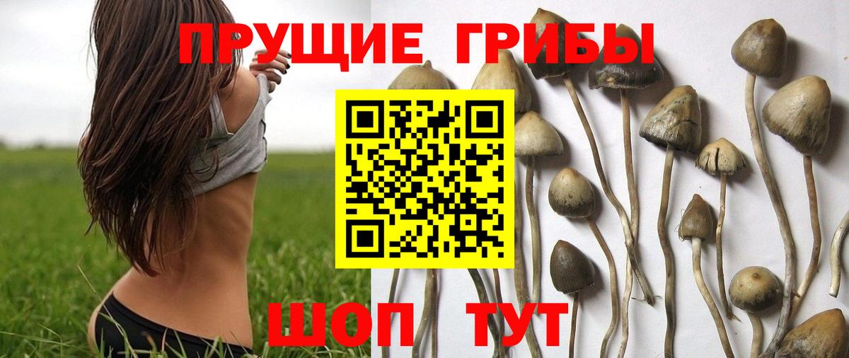 Псилоцибиновые грибы мицелий  Галлюциногенные грибы Magic Shrooms  Вход с VPN  Калуга 